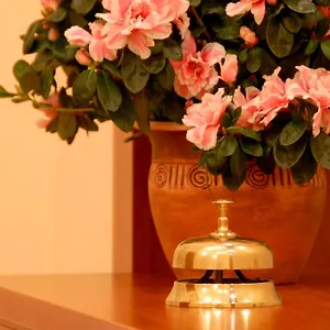 3* Hotel Museum